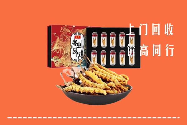 富拉尔基区回收虫草